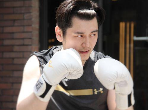 郑晨龙最新爆料视频大全,揭秘背后惊人真相